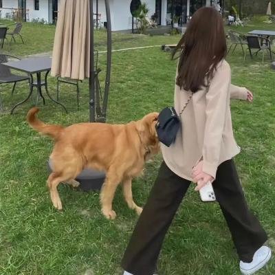 疯狂的果实